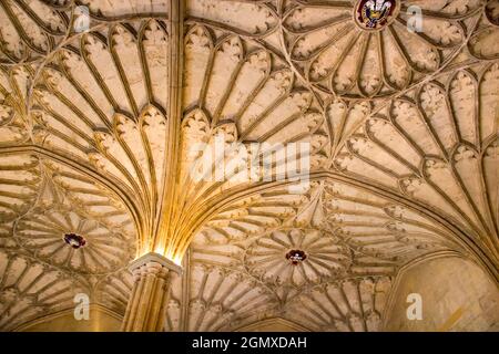 Oxford, Angleterre - 2012; fondé en 1458, le Magdalen College est l'un des plus anciens, des plus grands et des plus grands collèges universitaires d'Oxford. Il est maintenant Banque D'Images