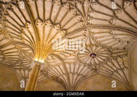 Oxford, Angleterre - 2012; fondé en 1458, le Magdalen College est l'un des plus anciens, des plus grands et des plus grands collèges universitaires d'Oxford. Il est maintenant Banque D'Images