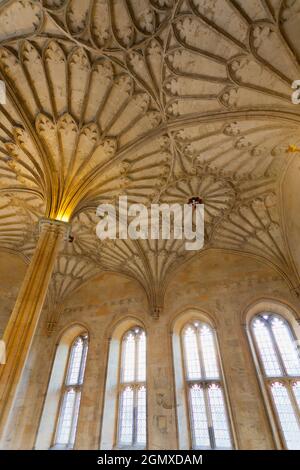 Oxford, Angleterre - 2012; fondé en 1458, le Magdalen College est l'un des plus anciens, des plus grands et des plus grands collèges universitaires d'Oxford. Il est maintenant Banque D'Images