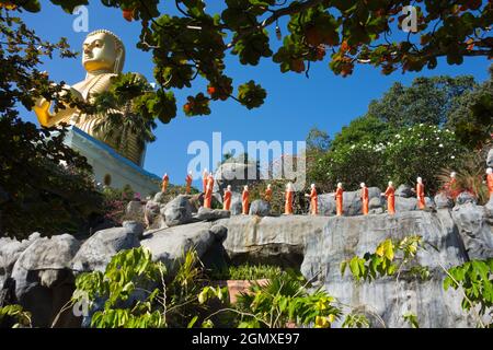 Dambulla, Sri Lanka - 11 février 2014 les bouddhas sont toujours vus du front. Voici donc quelque chose de différent. Temple de la grotte de Dambulla, également connu sous le nom de t Banque D'Images