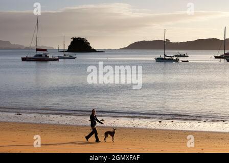 La baie des îles, Nouvelle-Zélande - 11 mai 2012 Une plage immaculée sur la côte de la baie des îles, dans l'île du Nord de la Nouvelle-Zélande. Juste après s Banque D'Images