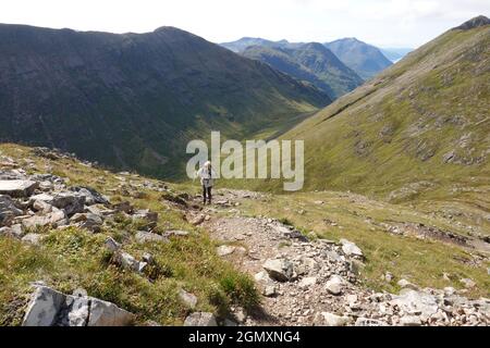 Marcheur femelle approchant le sommet de Stob Coire Raineach, Buachaville Etive Beag, Glen COE, Scottish Highlands avec vue vers Stob Dubh Banque D'Images