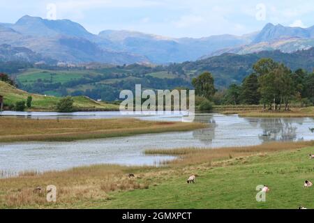 Vue sur Wise Een Tarn, Claife, près de Hawkshead, Lake District, Royaume-Uni. Montre Old Man of Coniston et Langdale Peaks Beyond. Banque D'Images