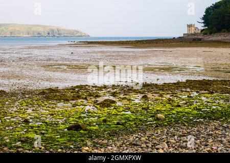 L'île Hestan et la tour sont vues à marée basse à travers la baie Balcary. Auchencairn, Dalbeattie, Dumfries et Galloway, Écosse, Royaume-Uni, Grande-Bretagne Banque D'Images