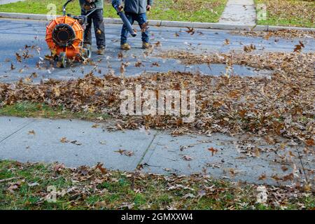Employé qui utilise un souffleur à feuilles extra-robuste pour retirer les feuilles mortes de l'automne Banque D'Images