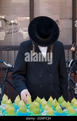 Un jeune homme juif hassidique anonyme avec un long peyus examine un esrog qui est utilisé sur les vacances de Sukkos. À Williamsburg, Brooklyn, New York. Banque D'Images