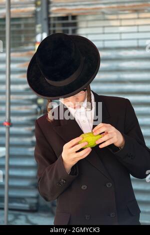 Un jeune homme juif hassidique anonyme avec un long peyus examine un esrog qui est utilisé sur les vacances de Sukkos. À Williamsburg, Brooklyn, New York. Banque D'Images