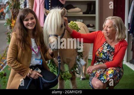 Chelsea, Londres, Royaume-Uni. 20 septembre 2021. L'entrepreneur et le dragon Den Deborah Meaden rencontre cutie Teddy le poney Shetland au Welligogs Tradestod avec son propriétaire Molly Goring crédit: Maureen McLean/Alay Banque D'Images