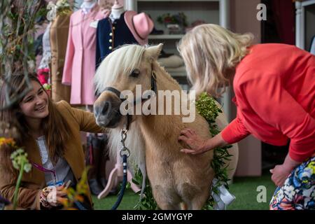 Chelsea, Londres, Royaume-Uni. 20 septembre 2021. L'entrepreneur et le dragon Den Deborah Meaden rencontre cutie Teddy le poney Shetland au Welligogs Tradestod avec son propriétaire Molly Goring crédit: Maureen McLean/Alay Banque D'Images