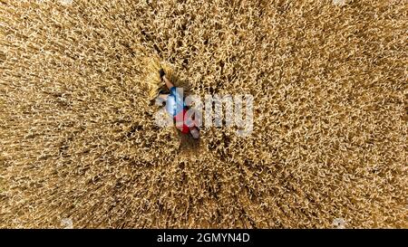 Une fille couché sur le sol dans un champ de blé. Vue de dessus. Vue aérienne de drone. Banque D'Images