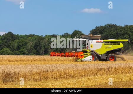 Angleterre, Hampshire, moissonneuse-batteuse récolte du blé dans les champs près de Winchester Banque D'Images