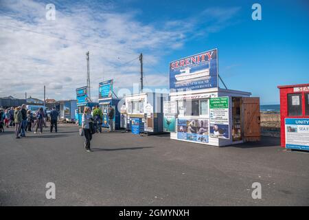 Les petites entreprises font de la publicité et vendent des excursions en bateau aussi aux îles Farne aux touristes dans les Seahouses, Northumberland. Banque D'Images