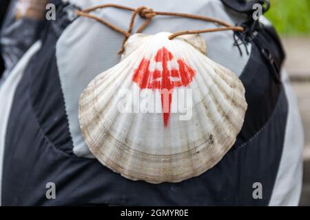 La coquille de pétoncle de Pilgrim sur un sac à dos, emblème traditionnel de Saint-Jacques-le-Grand, est populaire auprès des pèlerins revenant du chemin de Saint-Jacques Banque D'Images