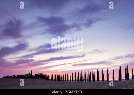 Paysage toscan avec des cyprès et ferme au lever du soleil, San Quirico d'Orcia, Val d'Orcia, Toscane, Italie Banque D'Images