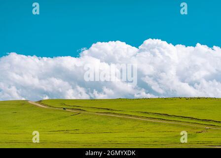 Route de terre à travers le champ vert et des nuages moelleux au-dessus de la colline.Plateau Assy, Kazakhstan Banque D'Images