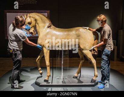 Compton Verney Warwickshire, Royaume-Uni 21 septembre 2021 dans le cadre d'une nouvelle exposition siècles en fabrication, le cheval sculpté en bois de Grinling Gibbons, normalement dans les armureries royales de la Tour de Londres, a été installé à Compton Verney pour marquer le 300e anniversaire de la mort de Gibbons, le 3 août 1721. Paul Quezada-Neiman/Alamy Live News Banque D'Images