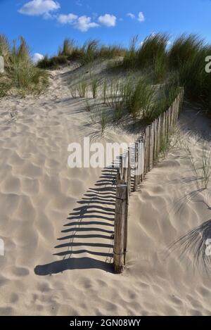 Dunes avec clôture de dunes pour se protéger contre l'érosion sur une plage en Normandie, France, Europe Banque D'Images