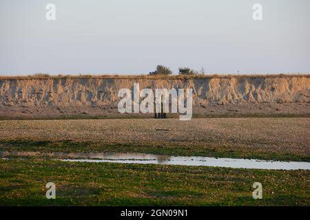 Petit ruisseau d'eau vu à marée basse à Pagham, Royaume-Uni. Banque D'Images