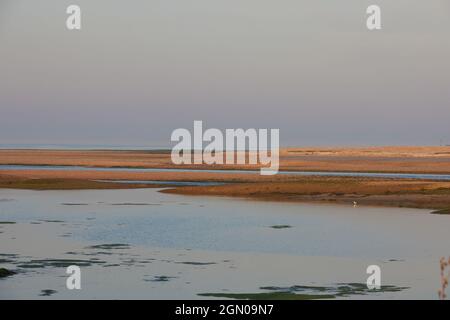 Petit ruisseau d'eau vu à marée basse à Pagham, Royaume-Uni. Banque D'Images