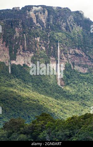 Tepui (montagne de table) Auyan dans le parc national de Canaima, Venezuela. Banque D'Images