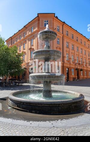 Fontaine de Ljubljana sur la place Novi trg Banque D'Images