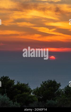 coucher de soleil sur la mer ionienne à agalas sur l'île grecque de zakynthos avec des oliviers au premier plan. coucher de soleil méditerranéen sur la mer. Banque D'Images