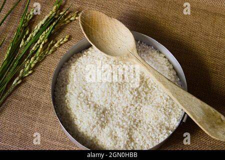 Flat Lay d'un récipient avec du riz de Valence (Espagne) avec quelques branches de la plante qui pousse dans L 'Albufera Banque D'Images