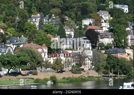 Villas sur les rives du Neckar à Heidelberg Banque D'Images