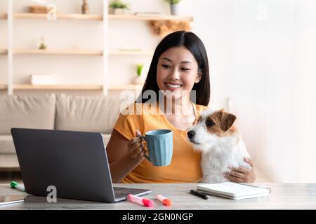 Joyeuse jeune femme asiatique freelancer ayant une pause-café tout en travaillant en ligne de la maison, assis à table avec un ordinateur portable, boire du café, regarder un film Banque D'Images
