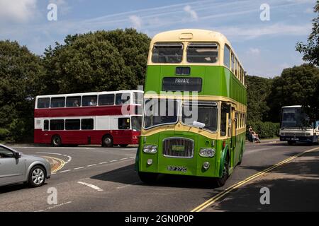 Rassemblement provincial d'autobus 2019 Stokes Bay Gosport Banque D'Images