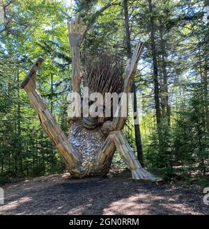 Soren est l'un des cinq trolls dans les jardins botaniques côtiers de Boothbay, Maine, et est le plus haut des cinq trolls là - 25 pieds. Il représente les branches de l'arbre. L'artiste est Thomas Dambo, et il fabrique, tous à partir de matériaux recyclés, la tête, les mains et les pieds dans son studio de Copenhague, au Danemark. Il les expédie ensuite partout où ils vont dans le monde. Une fois dans leur « maison », les matériaux recyclés sont rassemblés pour être fabriqués Banque D'Images