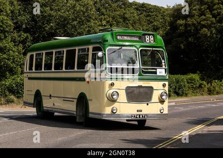 Rassemblement provincial d'autobus 2019 Stokes Bay Gosport Banque D'Images