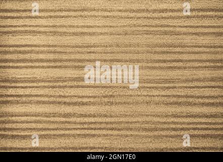 Mobilier rustique en bois. Texture en bois naturel gros plan Banque D'Images