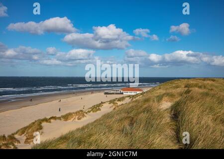 Herbes sur les dunes de sable avec club de plage le coucher du soleil et la plage le long de la côte de la mer du Nord, près de Hollum, Ameland, West Frison îles, Frise, Pays-Bas Banque D'Images