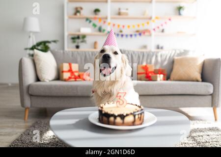 Golden Retriever en chapeau de fête ayant anniversaire, assis devant le gâteau de b-day avec bougie, célébrant des vacances à la maison Banque D'Images