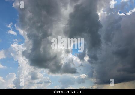 Cumulus de nuages blancs flottant sur la composition naturelle de la lumière du ciel Banque D'Images