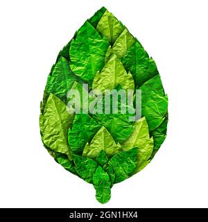 Feuille verte abstraite sur un fond blanc comme un feuillage naturel de motif végétal fait de feuilles de papier texturé découpé comme un motif abstrait de nature. Banque D'Images