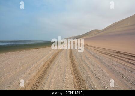 Angola; dans la partie sud de la province du Namibe; dans la partie nord du désert du Namib; Baia dos Tigres; sur la côte atlantique; sur les grandes dunes de sable qui descendent Banque D'Images