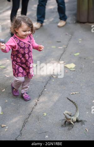 Jeune fille regardant un dragon australien de l'est de l'eau (Physignathus lesueurii), Lone Pine Koala Sanctuary, Brisbane, Queensland, Australie Banque D'Images