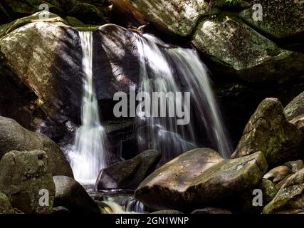 chutes de trap situées dans la forêt de l'état de willard brook à ashby, massachusetts Banque D'Images