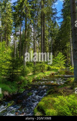 Rivière Weißer main près de Bischofsgrün dans le Fichtelgebirge, haute-Franconie, Bavière, Allemagne Banque D'Images