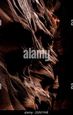 Érosion le mur de grès aiguisé crée des formes abstraites dans Buckskin Gulch, dans le sud de l'Utah Banque D'Images