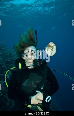 L'empereur nautilus (Nautilus pompilius), et le plongeur Nicki Rumney. Osprey Reef, Mer de Corail, Australie Banque D'Images