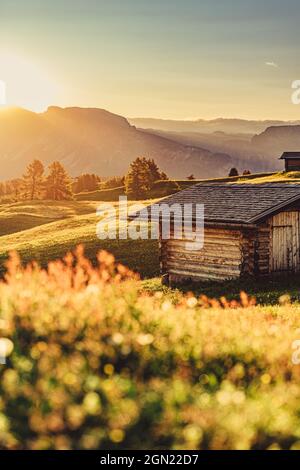 Lever de soleil sur l'Alm Seiser dans le Tyrol du Sud, Italie, Europe; Banque D'Images
