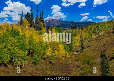 Couleurs d'automne le long de l'autoroute 40 sur Rabbit Ears Pass Banque D'Images