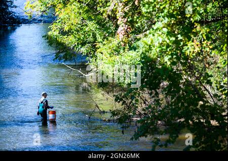 Des bénévoles des amis du Winooski nettoient une section de la branche nord de la rivière Winooski, Montpelier, Vermont, États-Unis. Banque D'Images