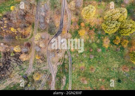 route de terre à travers la prairie et les arbres d'automne avec feuillage automnal coloré. vue aérienne en hauteur. Banque D'Images