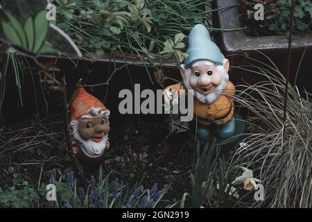 Les figures de deux nains de jardin, gros plan Banque D'Images