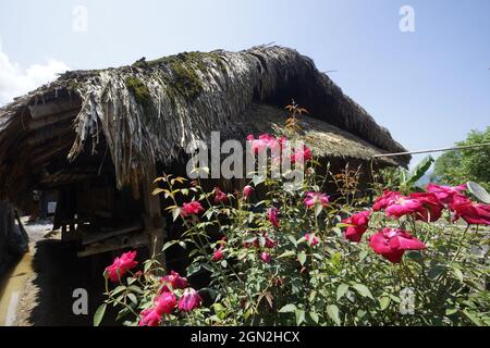 Khuoi mon village dans la province de Ha Giang au nord du Vietnam Banque D'Images