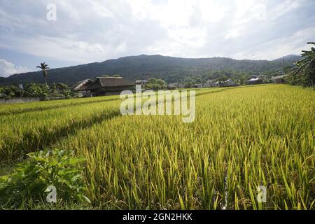 Khuoi mon village dans la province de Ha Giang au nord du Vietnam Banque D'Images